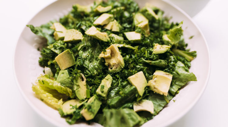 Boston Lettuce Herb Salad