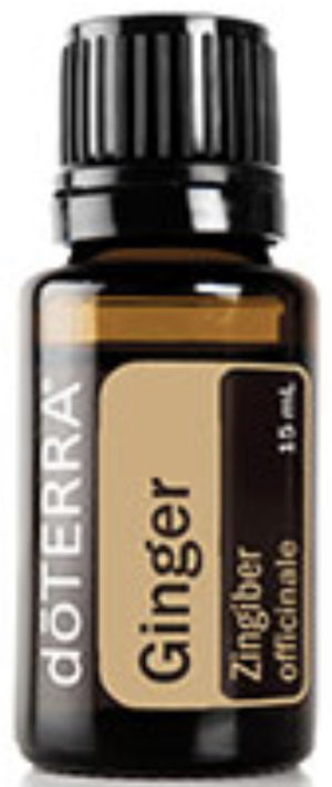Ginger Essential Oil