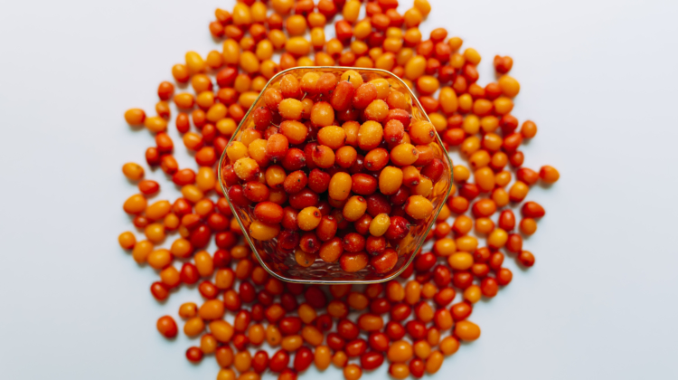 Food Facts: Sea Buckthorn Berries
