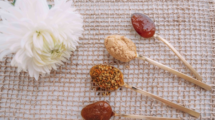 Supplement Spotlight: Bee Propolis, Bee Pollen, Royal Jelly