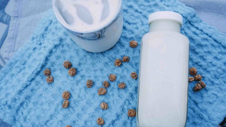 Tiger Nut Milk