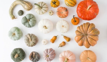 Food Facts: Pumpkin