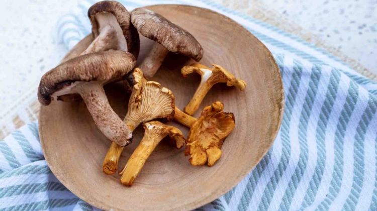 Food Facts: Mushrooms