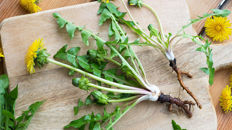 Supplement Spotlight: Digestive Aid A. Vogel