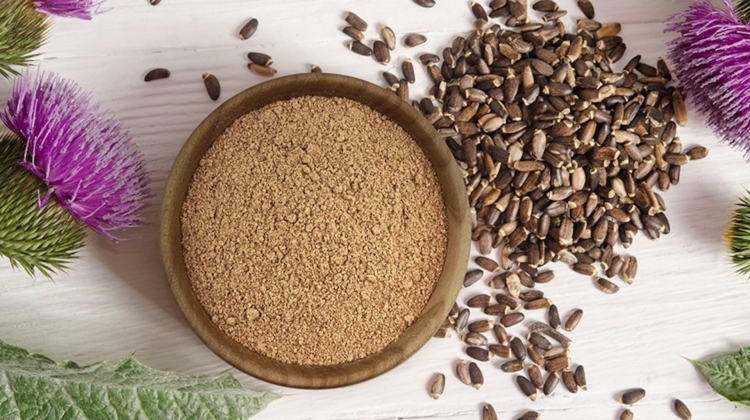 Supplement Spotlight: Milk Thistle
