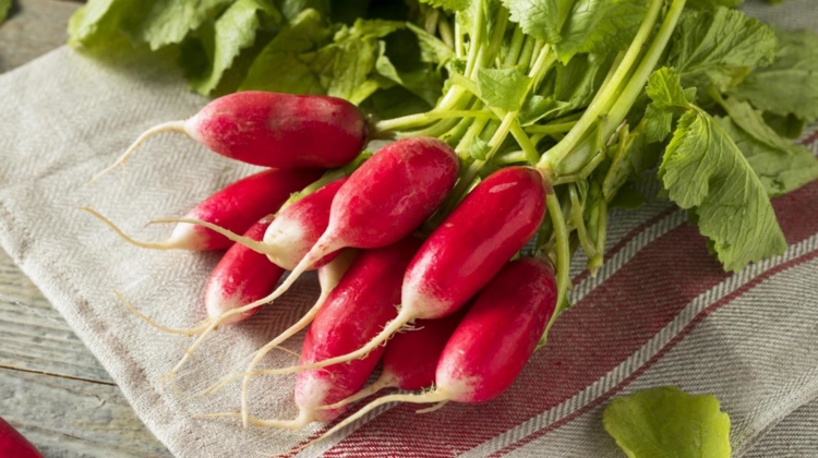 Food Facts: Radishes