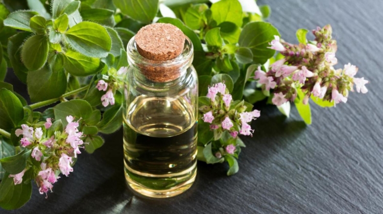 Supplement Spotlight: Oil of Oregano