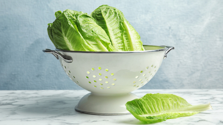 Lettuce water – a cure to insomnia ?