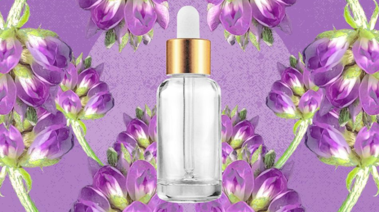 Skincare Spotlight: Bakuchiol