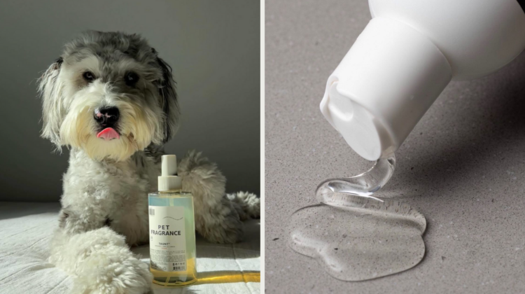 Why Using the Right Shampoo for Your Dog Matters More Than You Think
