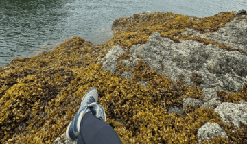 On the Go with Sophia: 7 Essentials for Daily Adventures