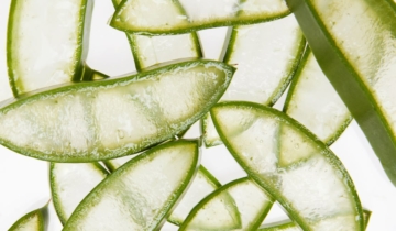 Aloe: The Pantry Secret