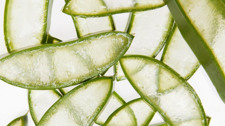 Aloe: The Pantry Secret