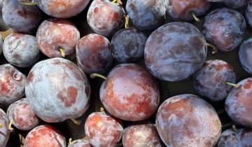 Plum Perfect: Why Plums Are the Secret to Radiant Skin