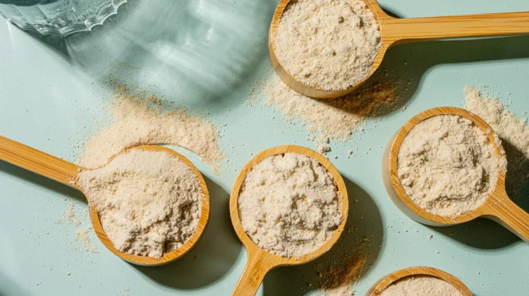 WeNatal Protein+: A 3-in-1 fertility and pregnancy support formula by Ronit Menashe & Vida Delrahim