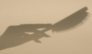 The Ultimate Hairbrush Guide: Which Brush Is Right for Your Hair Type?