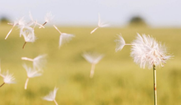 Prepare Your Body for Allergy Season